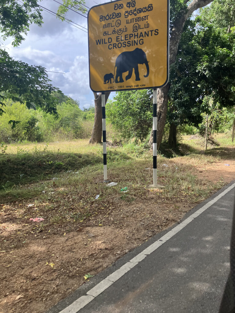 Ein gelbes Straßenschild mit der Aufschrift Wild Elephants Crossing und zwei Elefanten-Silhouetten steht am Rand einer Landstraße.