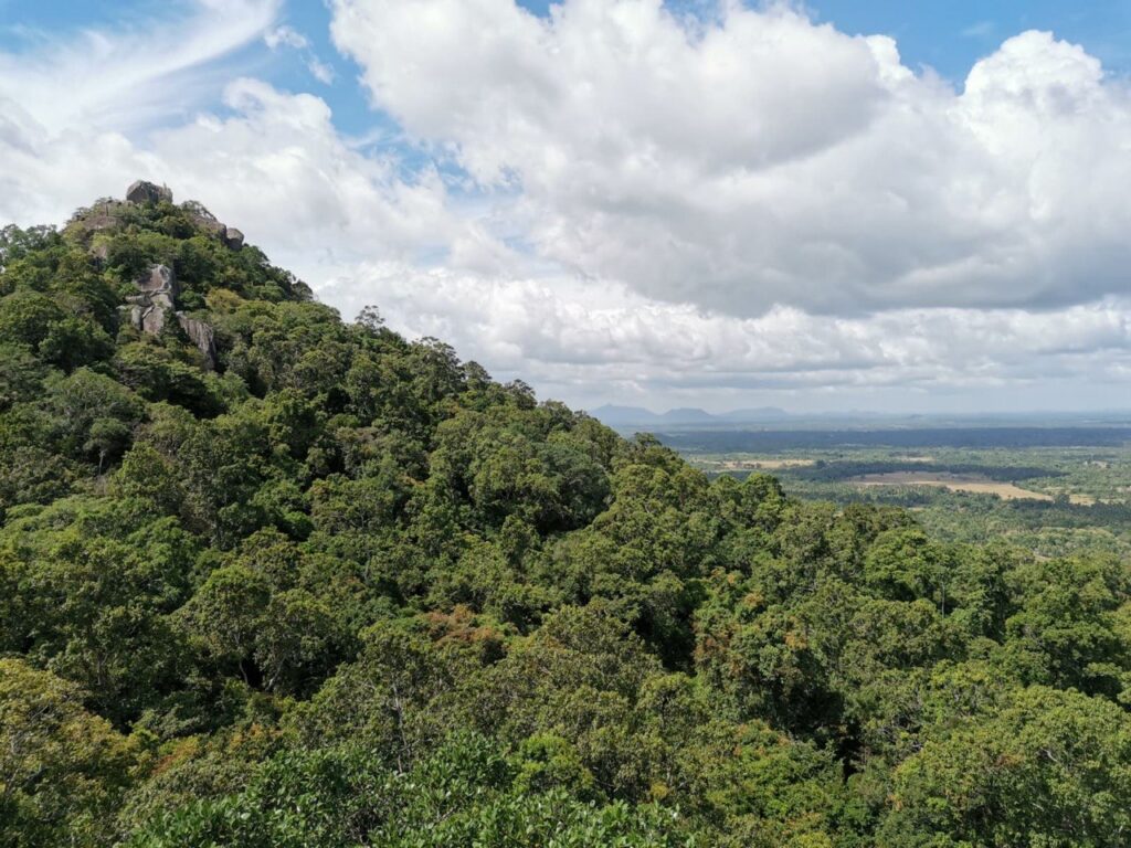 Blick über eine weite, flache Ebene mit einem bewaldeten Felsgipfel im Vordergrund und Hügeln am Horizont.
