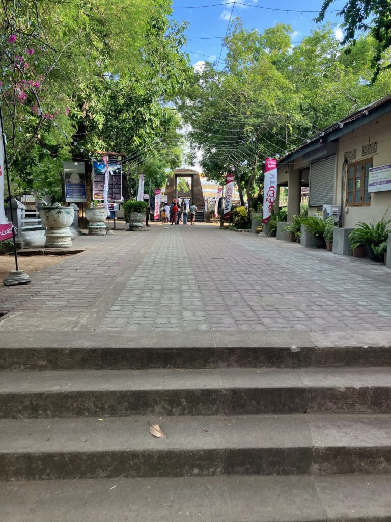 Eine gepflasterte Allee führt bei Tageslicht auf ein Backsteintor zu, dahinter eine helle Kuppel. Beidseits Bäume, darüber quer gespannte, unbeleuchtete Lichterketten. Links Werbebanner mit singhalesischer Schrift, rechts ein Gebäude mit Rollläden. Auf einer Betonstufe im Vordergrund liegt ein einzelnes braunes Blatt.
